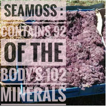Load image into Gallery viewer, 🌿PURPLE SEAMOSS (Country of Origin. Jamaica) Next Ocean Divers Availability - Nov 2025