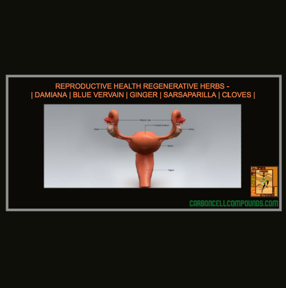 🌿Reproductive Regeneration