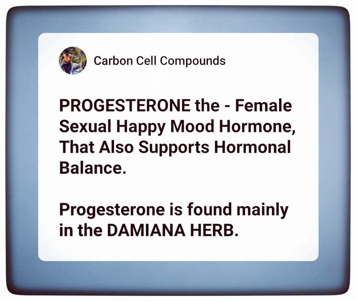 DAMIANA - 🌿Wildcrafted Cell Minerals