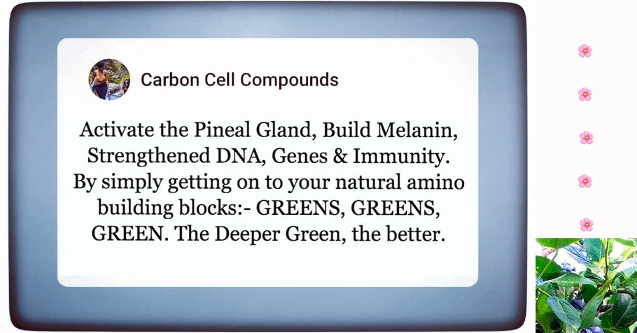 🌿Wilcrafted Cell Minerals