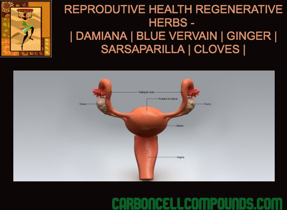 🌿Reproductive Regeneration