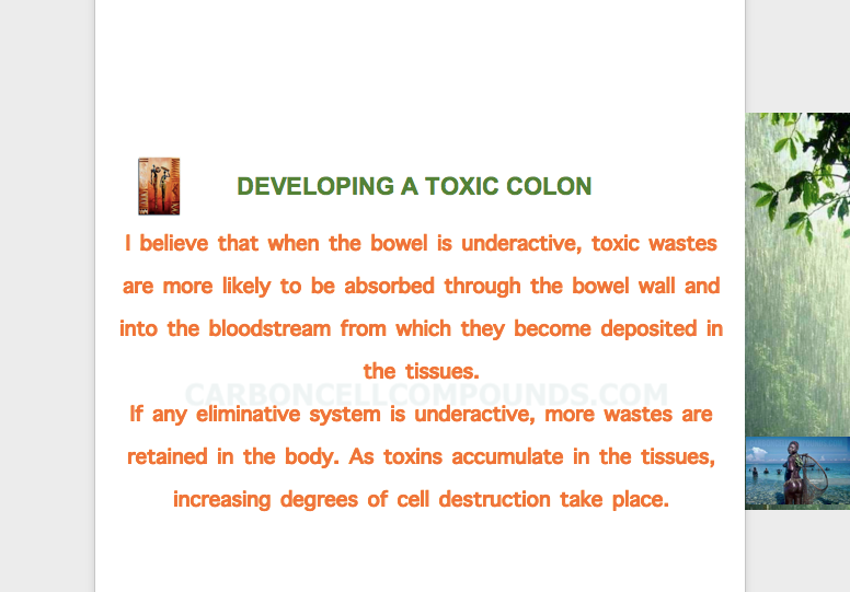 🌿Maintaining A Cleansed Body With 8 Herbs