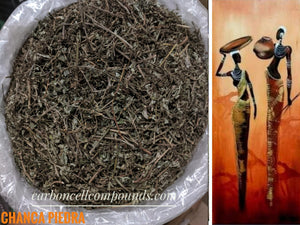 CHANCA PIEDRA (Origin. Caribbean Mountains ) Free Shipping