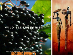 ELDERBERRY SUN-DRIED (Country Origin. East Euro)