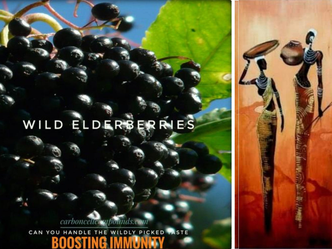 ELDERBERRY SUN-DRIED (Country Origin. East Euro)