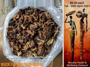 x2 DUCK FLOWERS (Aristolochia Grandiflora) - | - @ Only 9 US Dollars each - (6.69 Uk Pounds)- | - On our Wellbeing Outreach Program - |