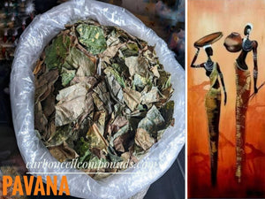 Xmas Festive Seasonal Gift!! | Health, Detox & Wellbeing |  PAVANA - Origin. C/S.Americas | - (Next Wild-Pick  30th Feb) - | -