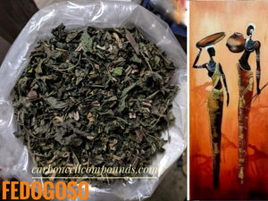 FEDOGOSO (Country of Origin.  Jamaica) - | -  Next Available Wild-Picking  30 Feb 2022  - |