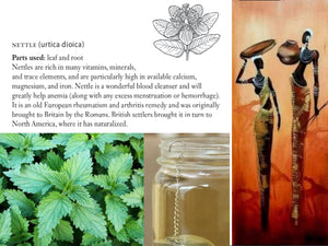 NETTLES | URTiCA DiOCA - Origin. C/S.Americas | - FREE SHIPPING applies to orders up to 99 Dollars or 50 Pounds