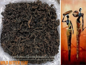 BITTER LEAF Vernonia amygdalina (Country of Origin. East Nigerian Village 3000BC) Free Shipping applies